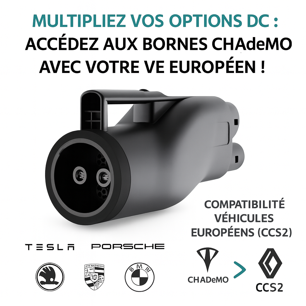 Adaptateur de Charge Rapide DC CHAdeMO vers CCS2 250A 1000V